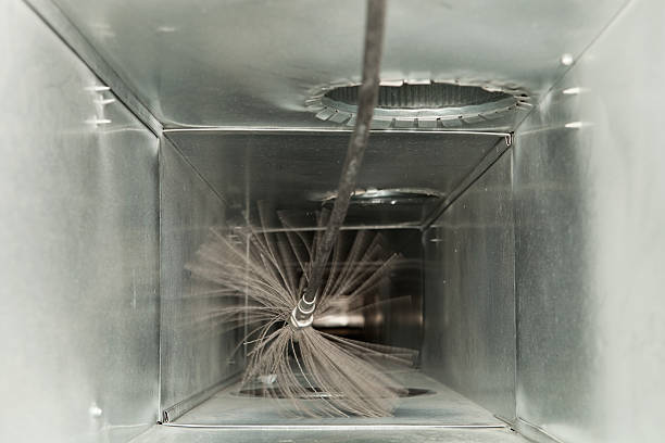 Best Air Duct Sanitizing Services  in Roselle, NJ